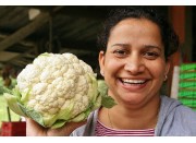 CAULIFLOWER LARGE Size Each LEVIN Grown